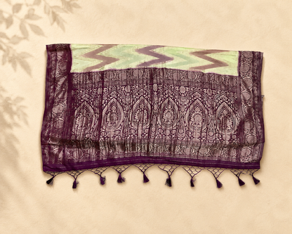Pistachio Green Banarasi Georgette BG002